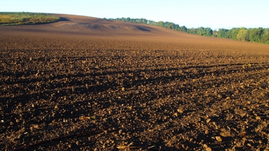 Rolnictwo zrównoważone chroni klimat