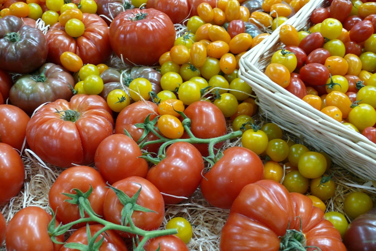 Azerbejdżan. Dynamicznie rośnie wartość eksportu warzyw