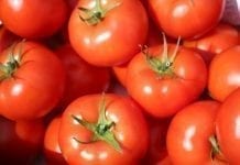 Ceny pomidorów na polskim i ukraińskim rynku