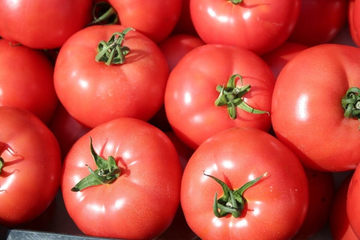 Tanieją pomidory na Ukrainie. Jest konkurencja z Turcji