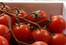 Rosja zniosła sankcje wobec wszystkich tureckich eksporterów pomidorów