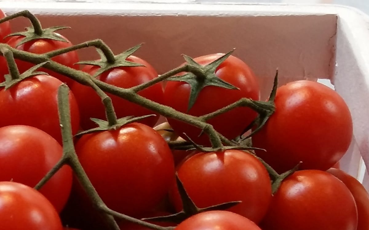 Rosja zniosła sankcje wobec wszystkich tureckich eksporterów pomidorów