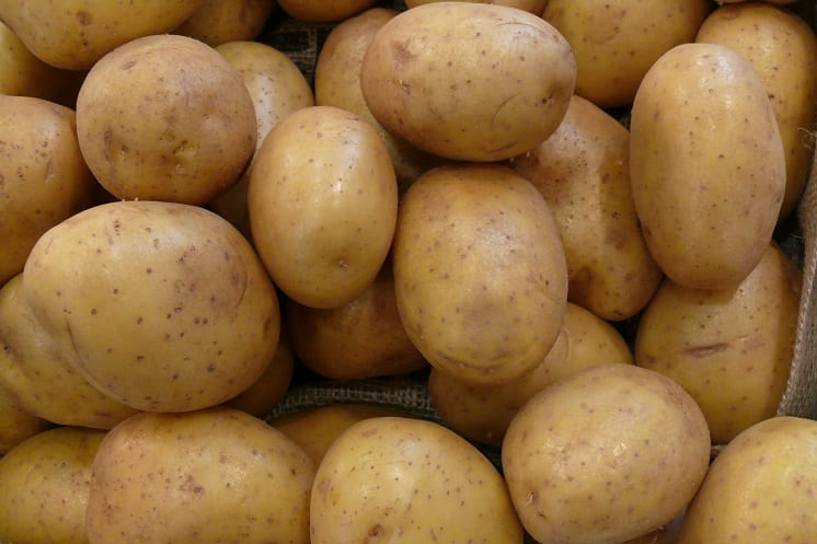 W środę protest producentów ziemniaków
