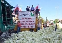 Protest producentów warzyw i ziemniaków