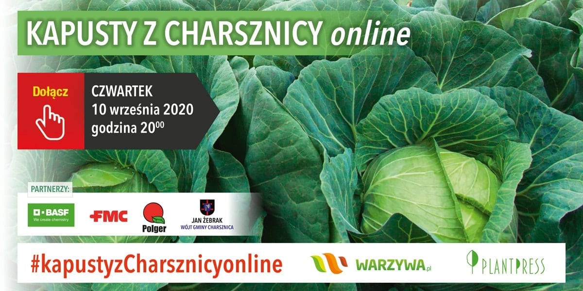 Kapusta z Charsznicy online - Dni Kapusty - webinarium 10.09.2020 