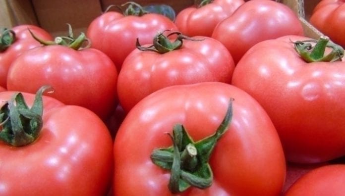 Import eksport pomidorów na Ukrainie