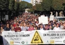 Skuteczny masowy protest hiszpańskich plantatorów warzyw