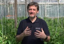 Ochrona pomidorów i ziół przed szkodnikami – Biopreparat NeemAzal – dr Michał Pniak, BIOCONT