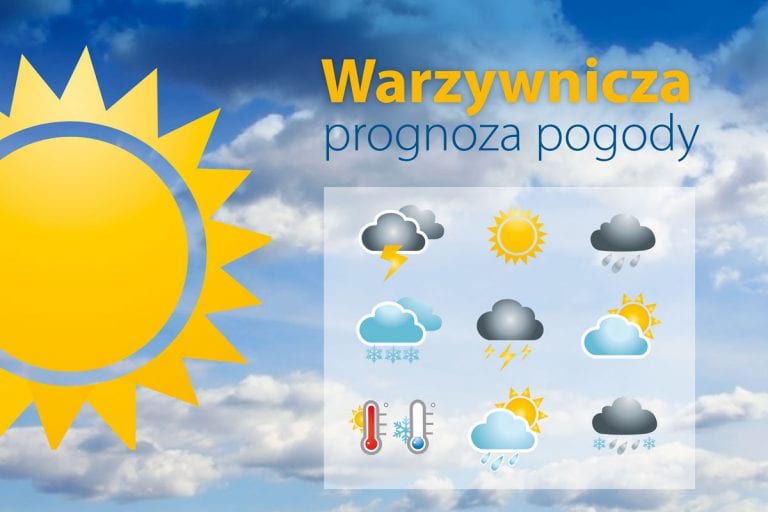 Nadeszło babie lato – Warzywnicza prognoza pogody z 21.10.2020 r.