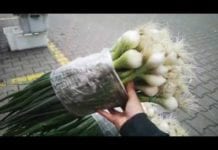 Ceny wczesnych krajowych warzyw na Broniszach 05. 05. 2020