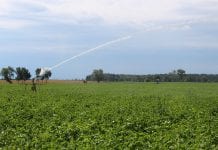 Modernizacja gospodarstw rolnych – inwestycje w nawadnianie wydłużone