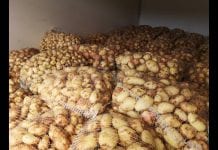 Ceny warzyw i ziemniaków na Broniszach – 18.06.2020 WIDEO