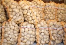 Słowenia: 20% więcej wczesnych ziemniaków niż w 2019 r.