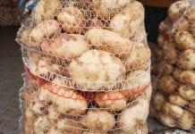 Ziemniaki w górę – notowania cenowe na Rynku Hurtowego Bronisze 13.07.2020