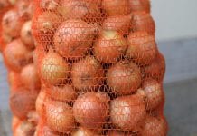 Ceny cebuli i marchwi coraz niższe… Aktualna sytuacja na rynku [24.07.2023]