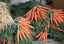 BRONISZE – aktualne ceny warzyw krajowych 2020