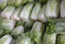 Ceny warzyw kapustnych w hurcie
