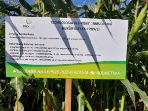 Technologia ochrony i nawożenia kukurudzy cukrowej PROCAM