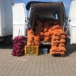 Ceny warzyw Rybitwy - sierpnień 2020