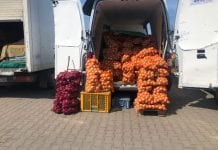 Ceny warzyw Rybitwy - sierpnień 2020