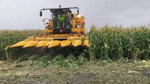 Pokaz maszyny Oxbo do zbioru kukurydzy cukrowej