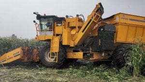 Pokaz maszyny Oxbo do zbioru kukurydzy cukrowej