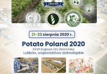 POTATO POLAND 2020 LUBKÓW – XXVII Krajowe Dni Ziemniaka startują już za cztery dni