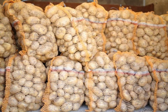 ziemniaki w workach na sprzedaż - jakie ceny?