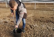 Narastający problem nicieni glebowych w uprawie papryki pod osłonami – wywiad z dr Anetą Chałańską, 31.01.2021 [VIDEO]