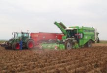 Hiszpania: rekomendują, by ograniczyć powierzchnię uprawy ziemniaka do 15 procent