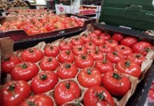 Jak radzą sobie polskie pomidory malinowe na rynku warzyw? [15.02.2023]