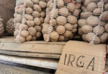 Co warto wiedzieć w handlu hurtowym, jeśli chodzi o ziemniaka?