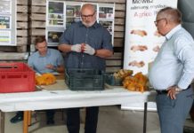 Innowacyjne rozwiązania w zakresie ochrony i agrotechniki ziemniaka – konferencja i warsztaty polowe