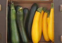 30-procentowy wzrost cen warzyw na przełomie sierpnia i września?
