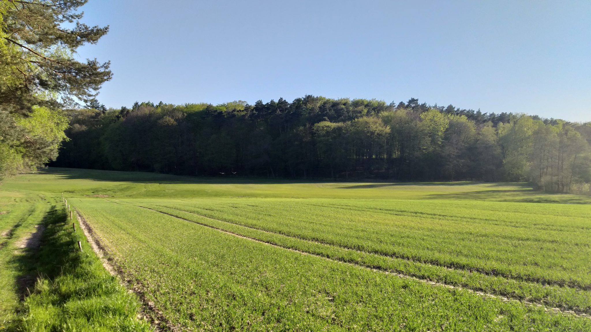 Ziemia dla rolników w gminie Grodziec