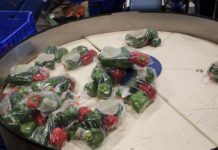 Zakaz pakowania warzyw w plastik? To nowe prawo w Hiszpanii
