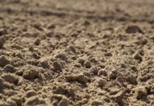 Dobrostan gleby – jak go osiągnąć do 2030 r.?