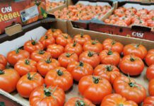 Rosnące ceny pomidorów
