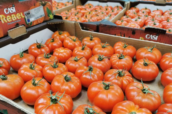 Rosnące ceny pomidorów