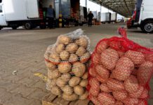 Aktualne ceny ziemniaków – jak wygląda sytuacja na Broniszach? [CENY]