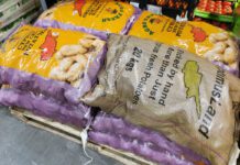 Wysoka presja ze strony ziemniaków z Cypru i Egiptu