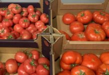 Drogie pomidory, ale tylko dla konsumentów