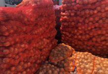 Aktualne ceny cebuli przyciągają uwagę importerów [19.10.2022]