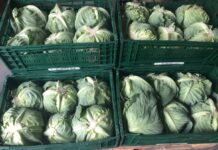 Aktualne ceny warzyw – rynek Bronisze – 6.05.2022 r.
