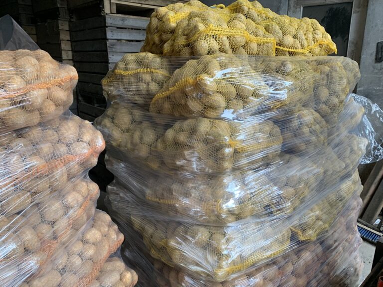 Ile ziemniaków Polska wysyła do Uzbekistanu?