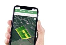 Nowatorska aplikacja REELVIEW do satelitarnej oceny stanu plantacji