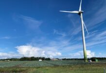 Ustawa o inwestycjach w zakresie elektrowni wiatrowych przyjęta przez Sejm
