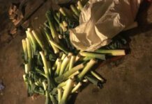 Kolejne kradzieże warzyw… Sprawcy zostali ujęci