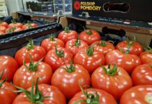 Aktualne ceny pomidorów na rynku w Broniszach [20.04.2023]
