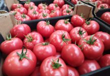 Aktualne ceny polskich pomidorów